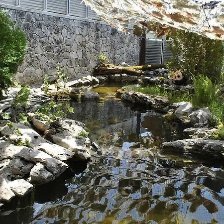 Hotel Discret & Restaurant Vladaya