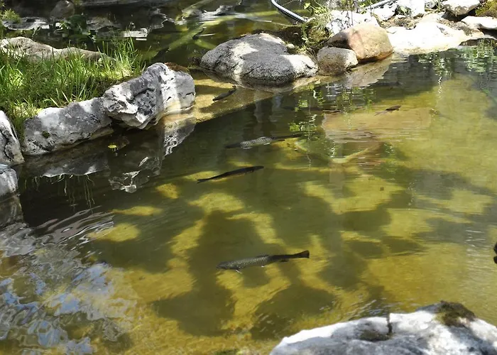 Hotel Discret & Restaurant